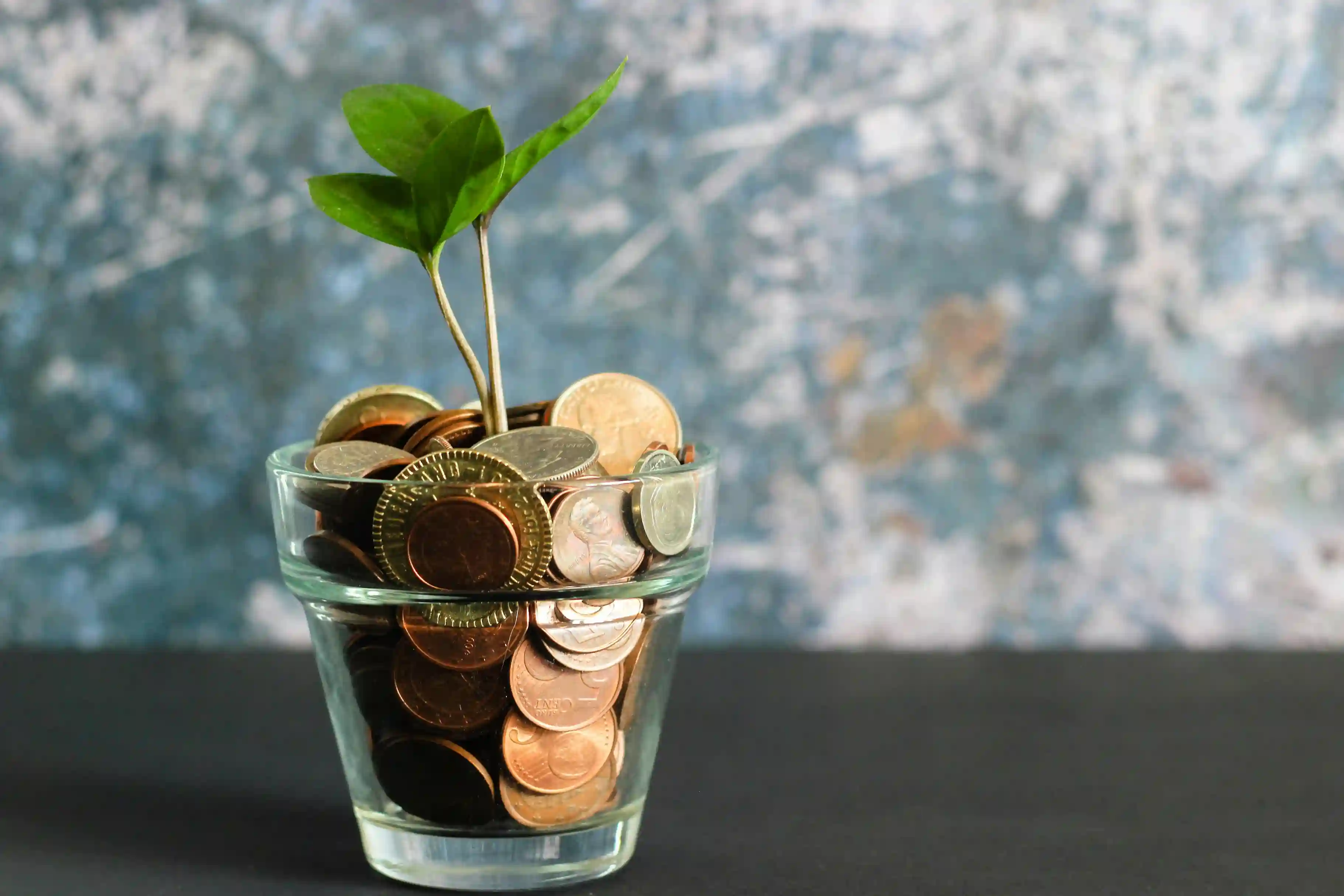 Economic Marketing Solutions